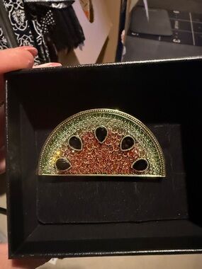 Sparkling Watermelon Pin Brooch - Green and Pink